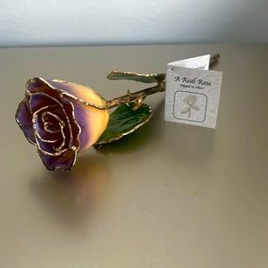 A Real Rose dipped in silver new condition